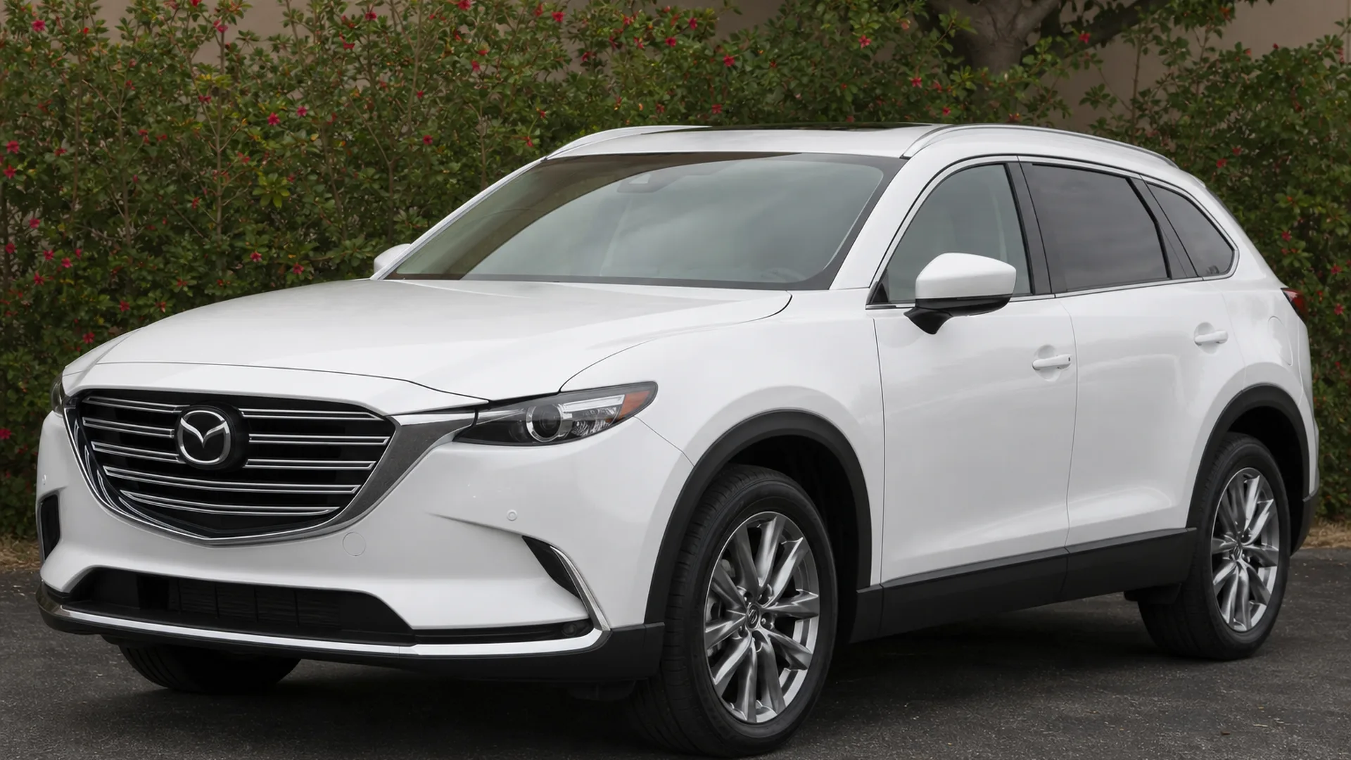 A white Mazda CX-9 SUV parked on asphalt.