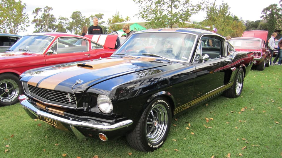 Mustang GT350H